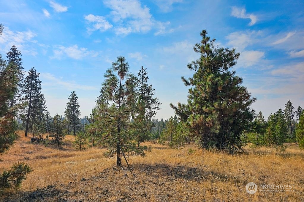 1 Lot, Dalloul, Meadow Lane Property Photo 13