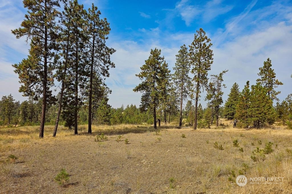 1 Lot, Dalloul, Meadow Lane Property Photo 14
