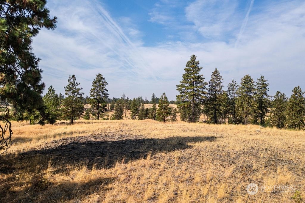 1 Lot, Dalloul, Meadow Lane Property Photo 15