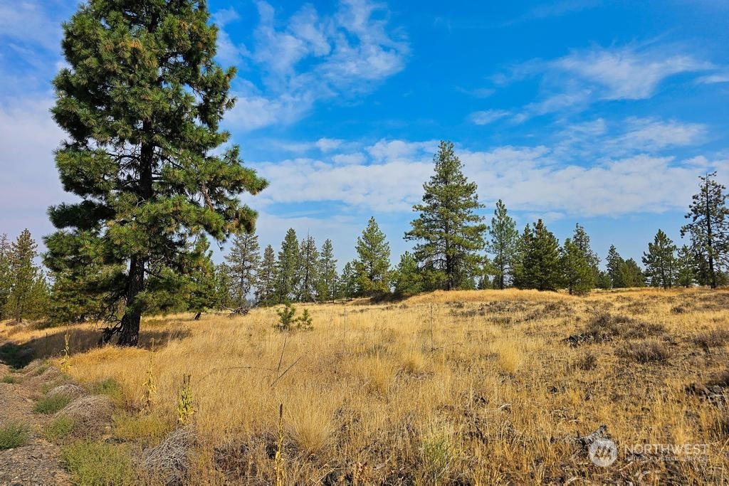 1 Lot, Dalloul, Meadow Lane Property Photo 16