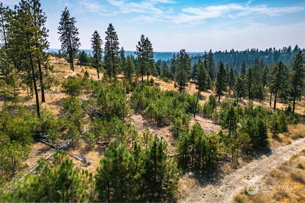 1 Lot, Dalloul, Meadow Lane Property Photo 18