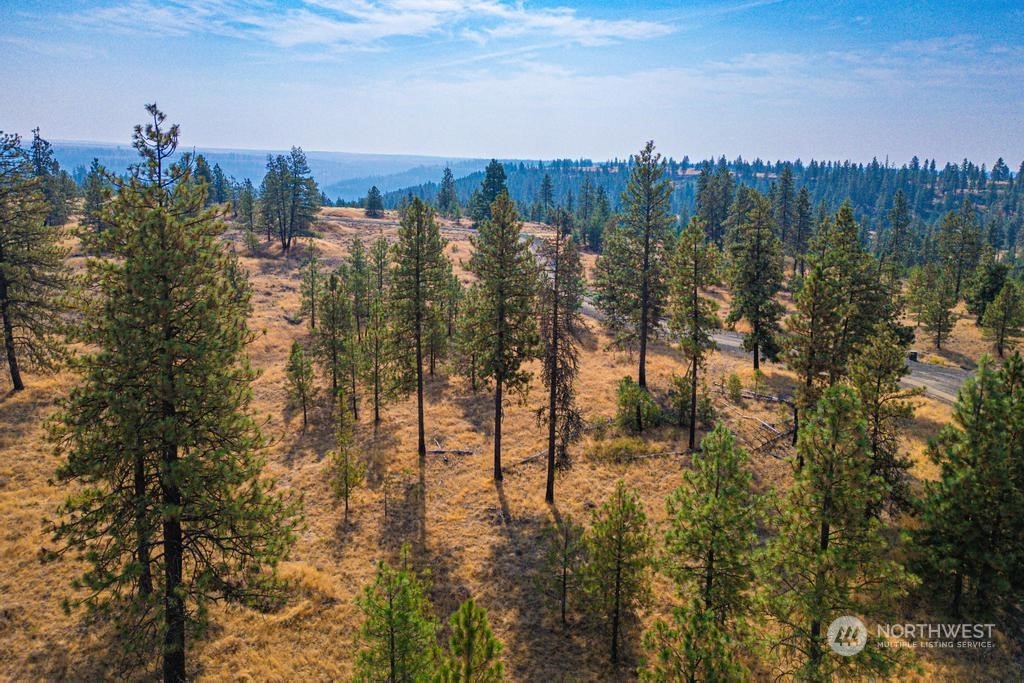 1 Lot, Dalloul, Meadow Lane Property Photo 19