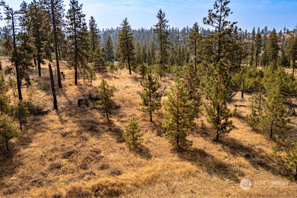 1 Lot, Dalloul, Meadow Lane Property Photo 20