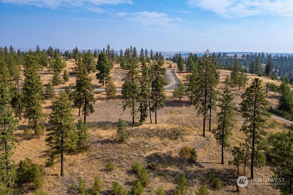 1 Lot, Dalloul, Meadow Lane Property Photo 21