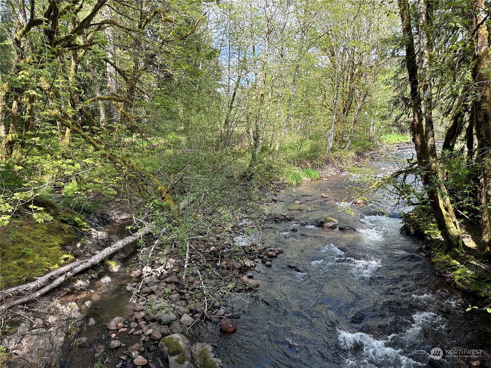 0 Germany Creek Road Property Photo 3