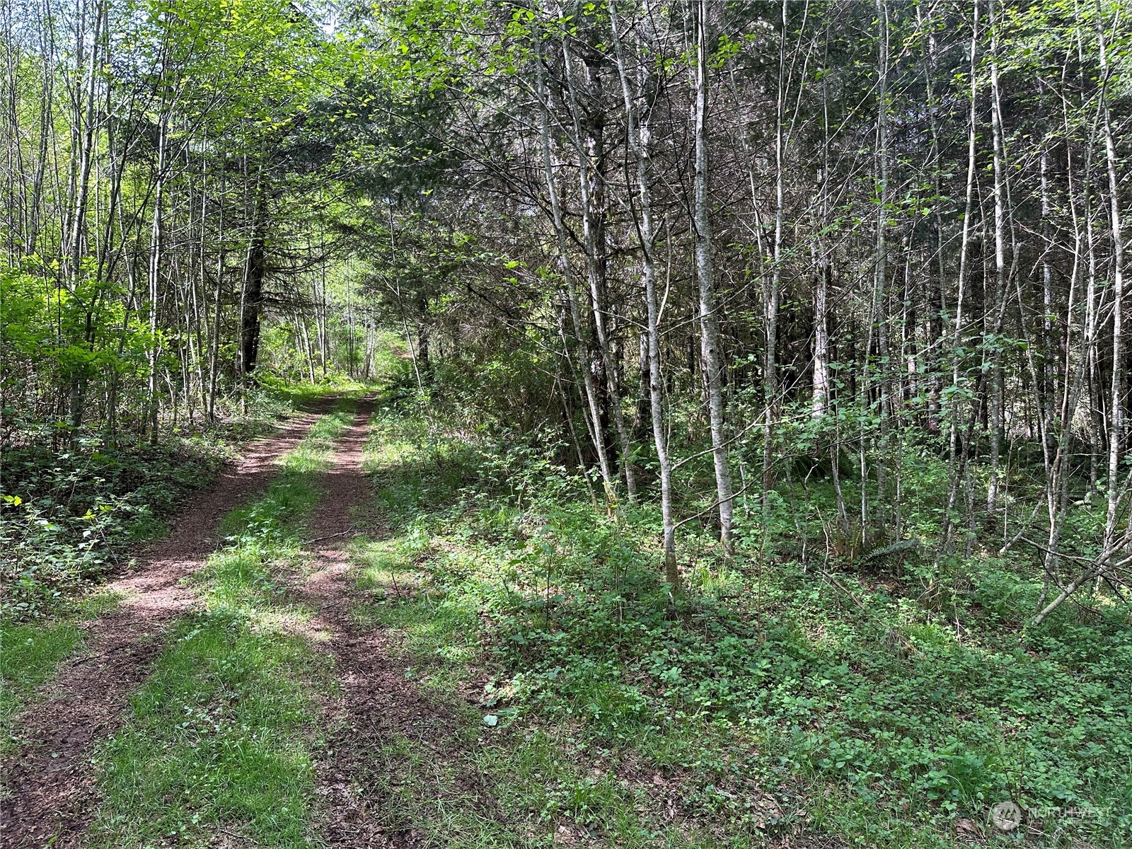 0 Germany Creek Road Property Photo 5