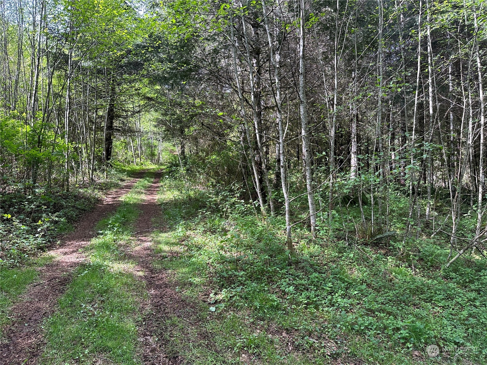 0 Germany Creek Road Property Photo 6