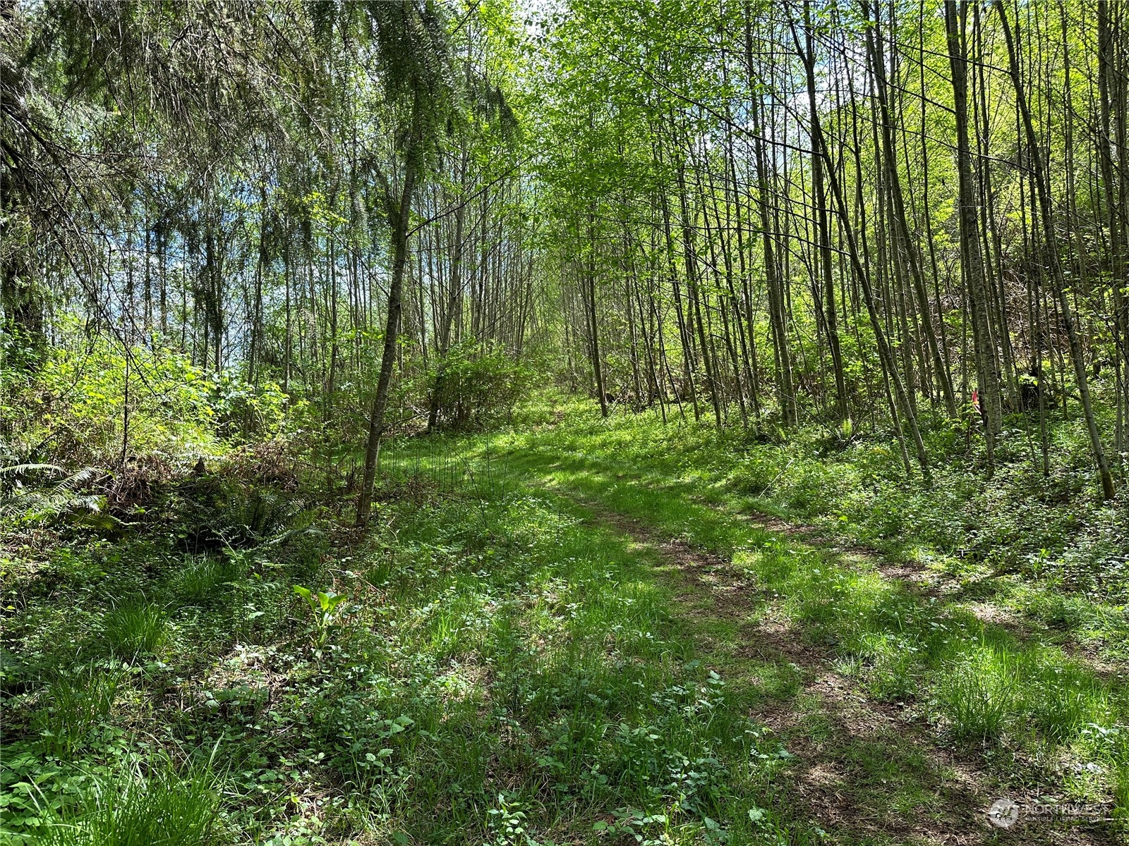 0 Germany Creek Road Property Photo 7