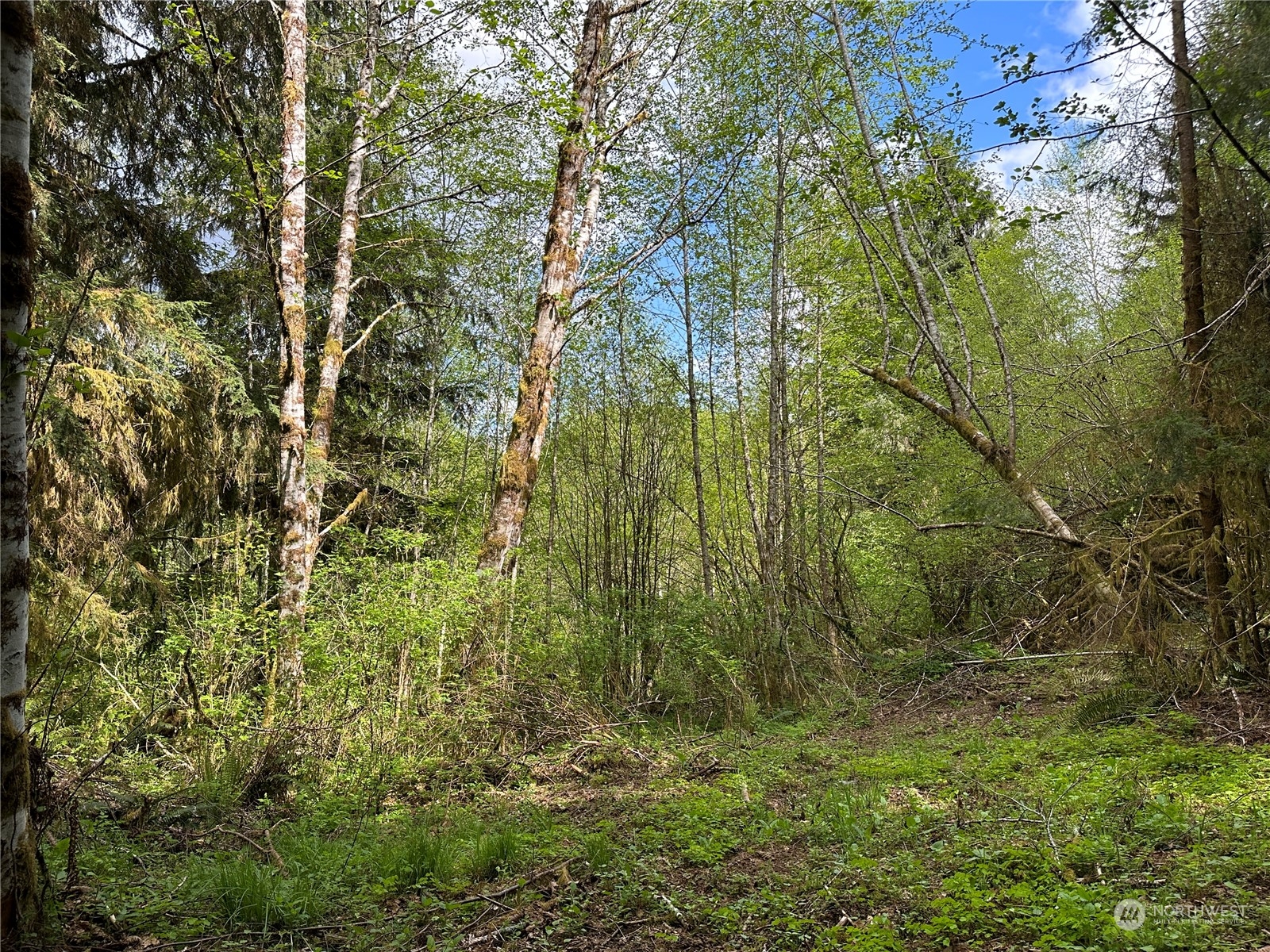 0 Germany Creek Road Property Photo 9