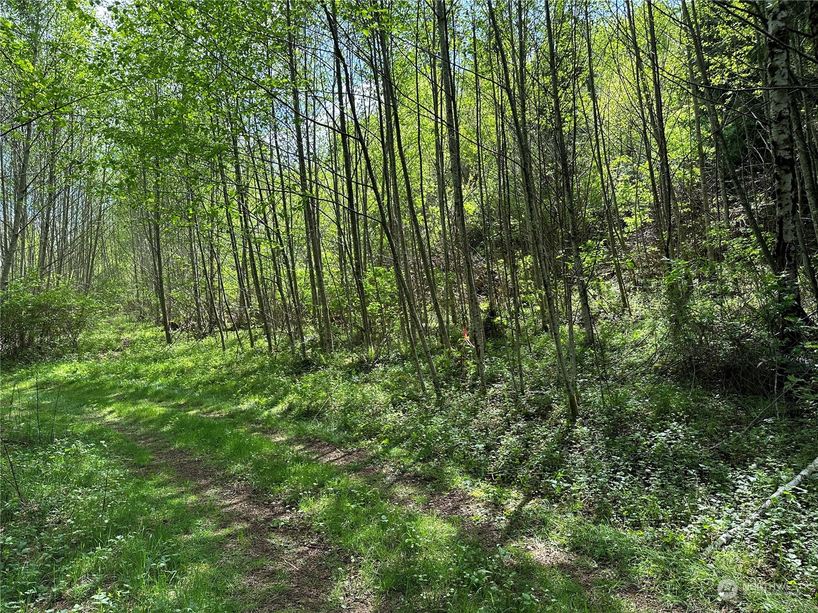 0 Germany Creek Road Property Photo 10