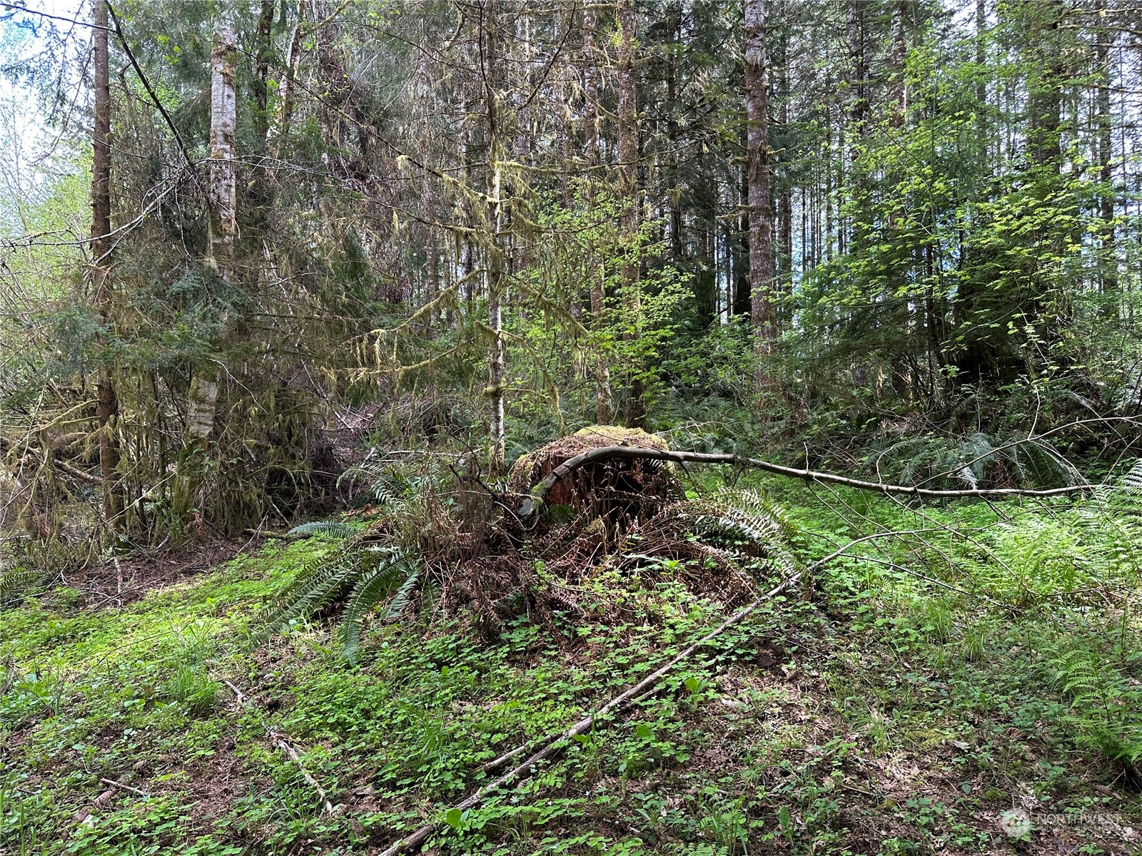 0 Germany Creek Road Property Photo 11