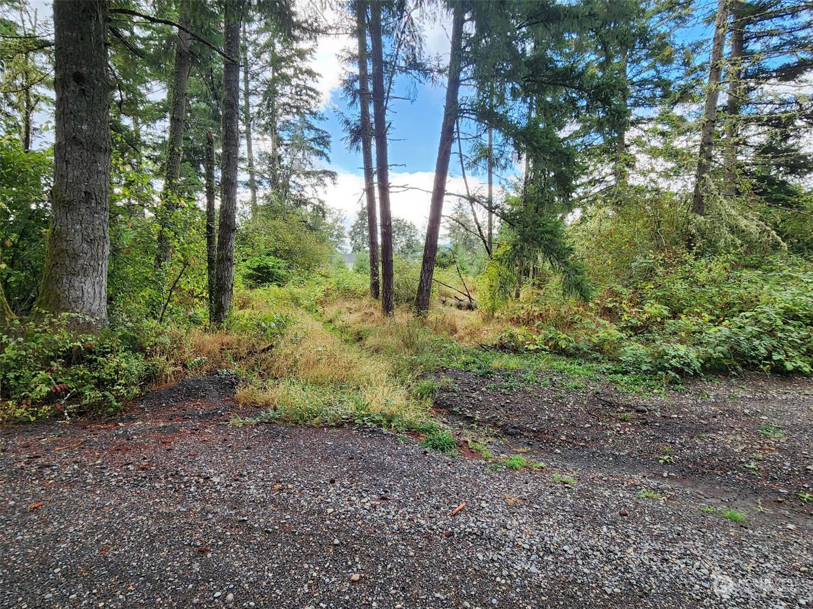 11736 Vail Cut Off Road Property Photo 1