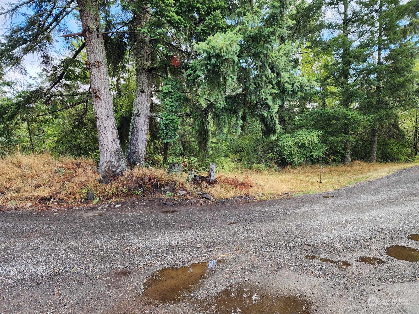 11736 Vail Cut Off Road Property Photo 3
