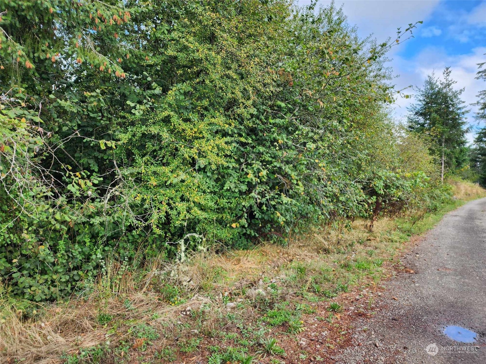 11736 Vail Cut Off Road Property Photo 4