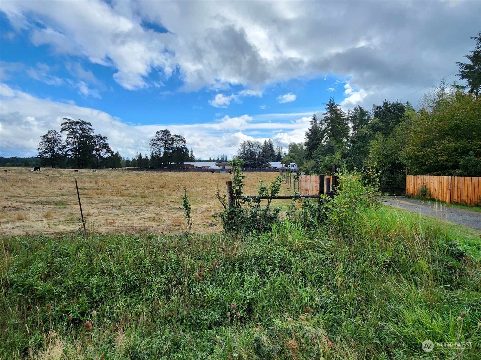 11736 Vail Cut Off Road Property Photo 7