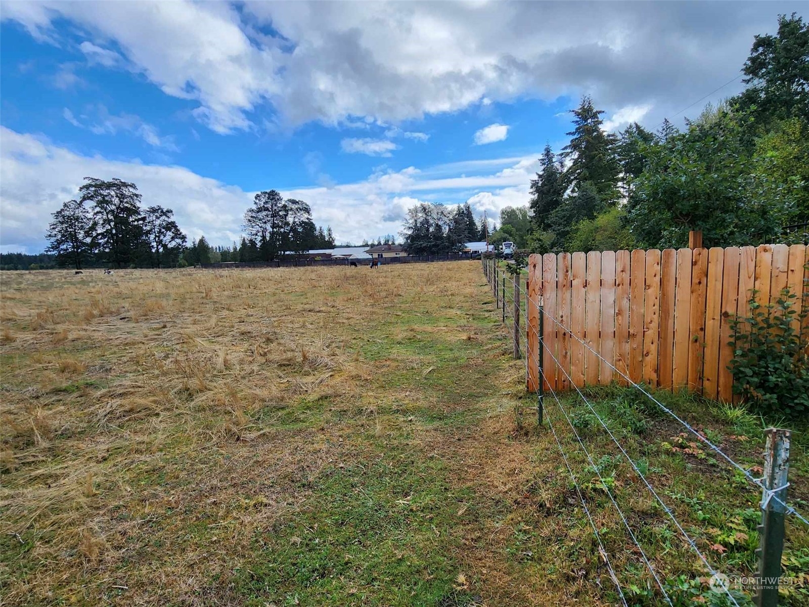 11736 Vail Cut Off Road Property Photo 8