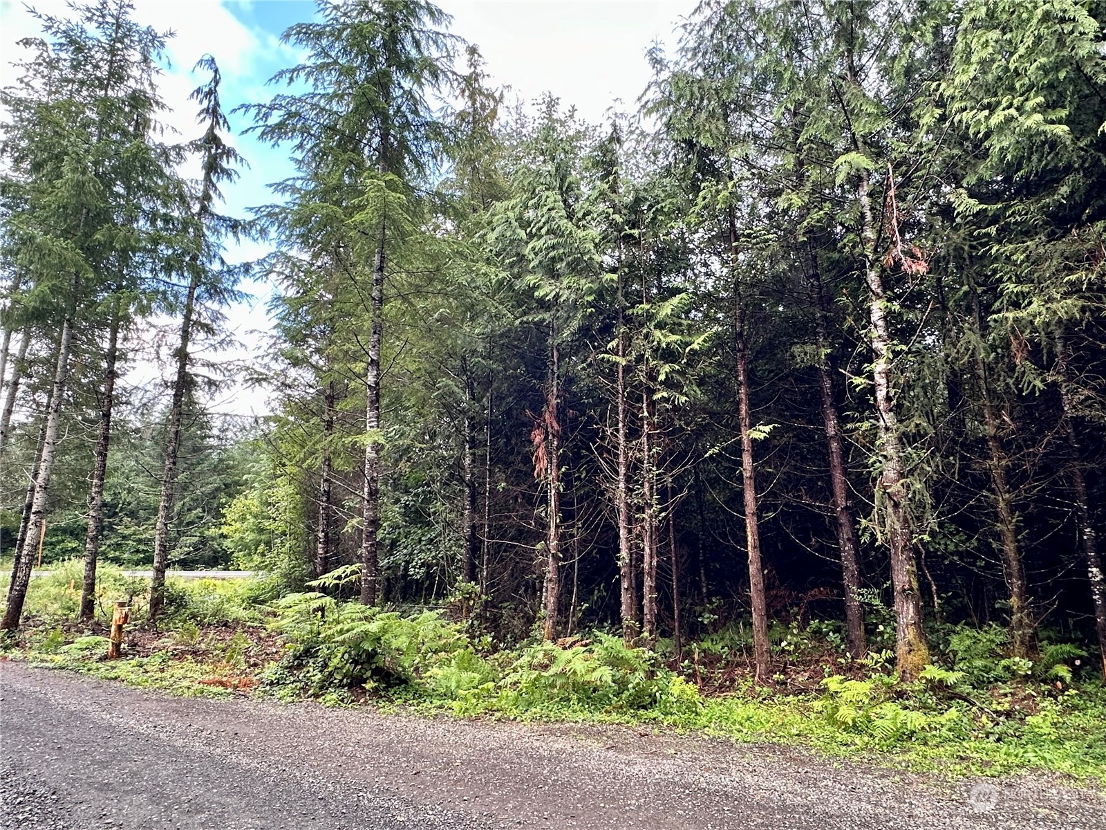 9999 Grouse Glen Way Property Photo 4
