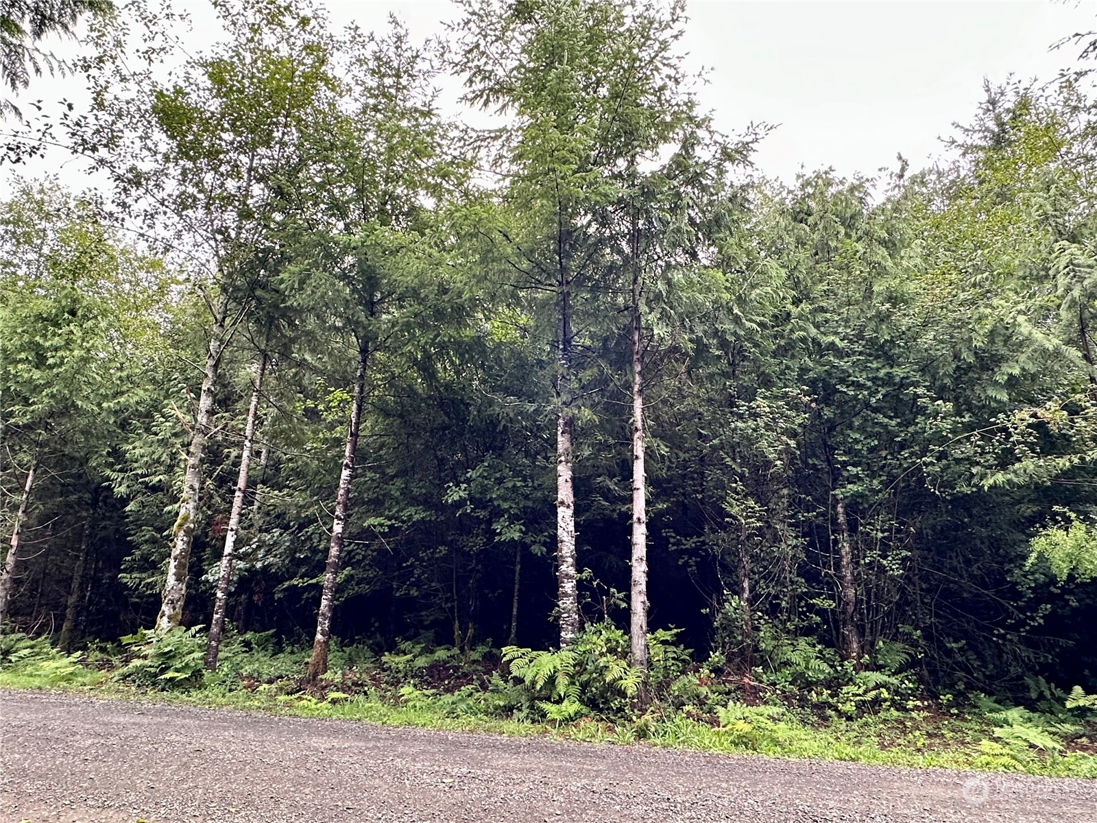 9999 Grouse Glen Way Property Photo 5