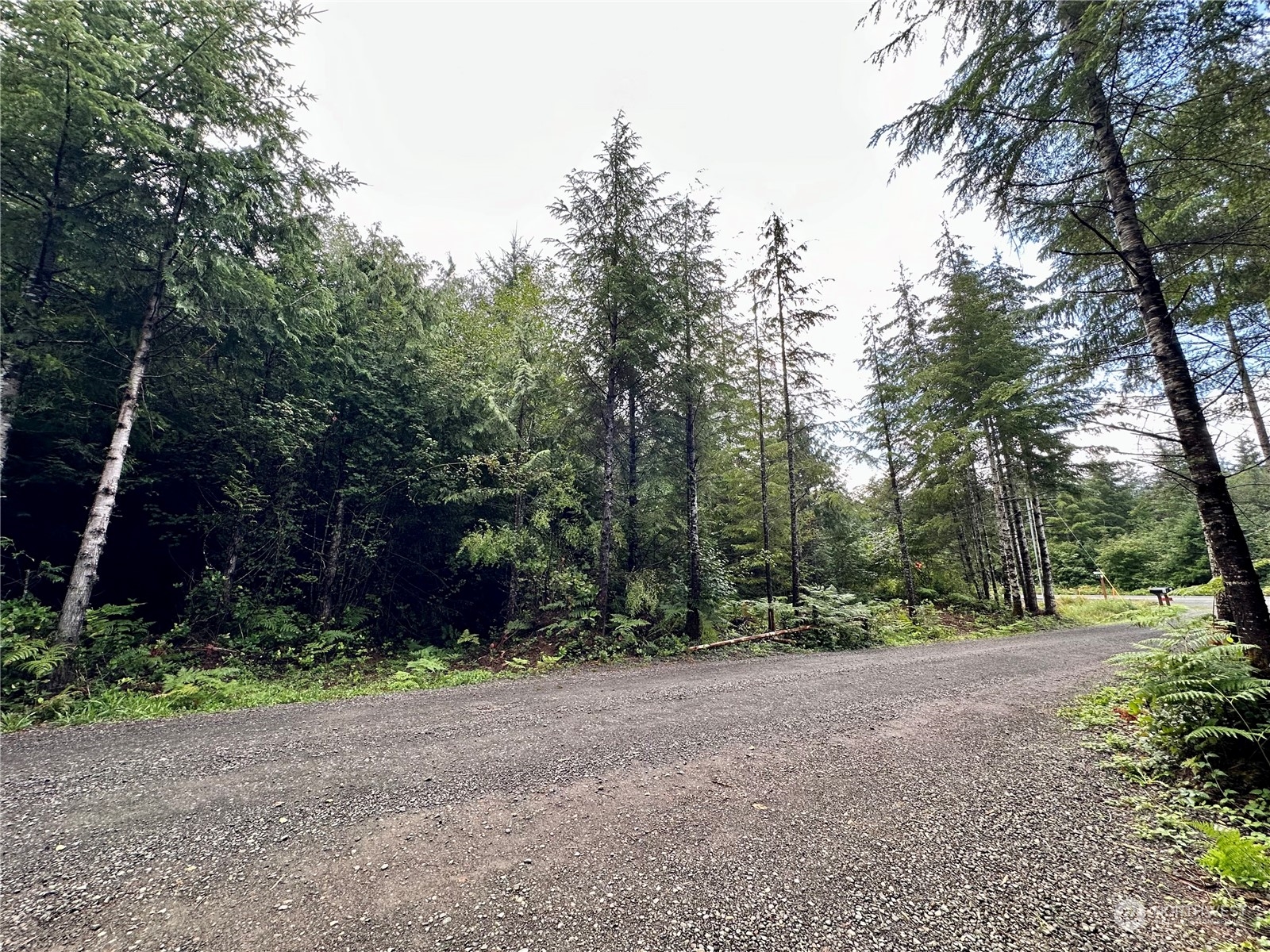 9999 Grouse Glen Way Property Photo 6