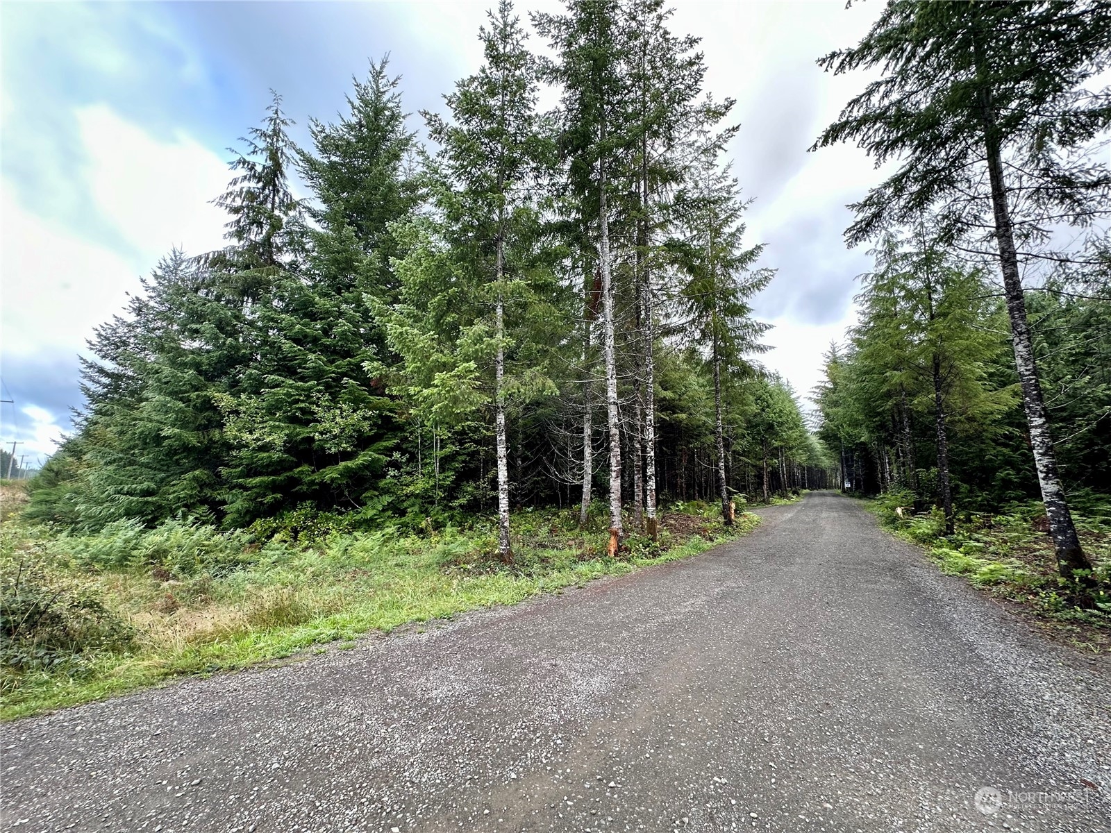 9999 Grouse Glen Way Property Photo 7