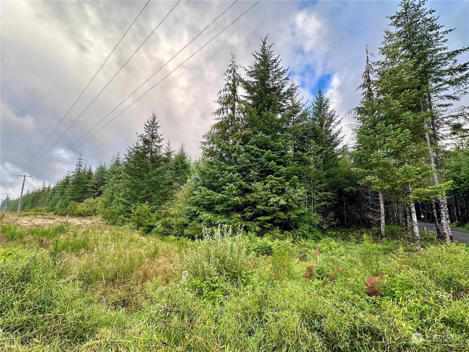 9999 Grouse Glen Way Property Photo 9