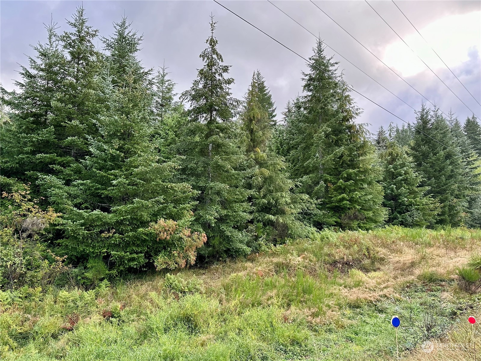 9999 Grouse Glen Way Property Photo 10