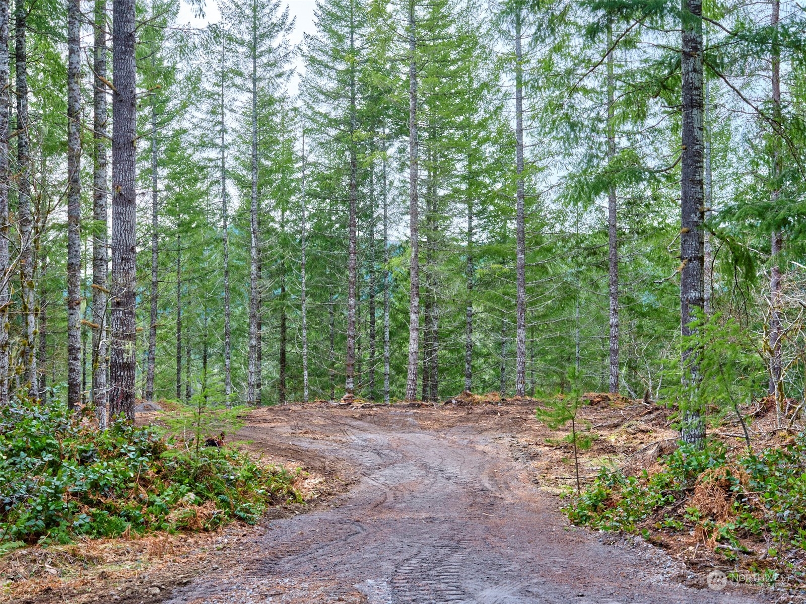 2 Lahar Lane Property Photo 3