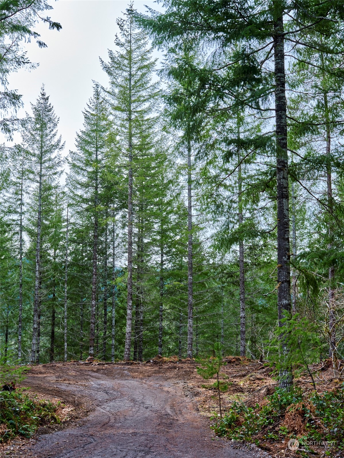 2 Lahar Lane Property Photo 4