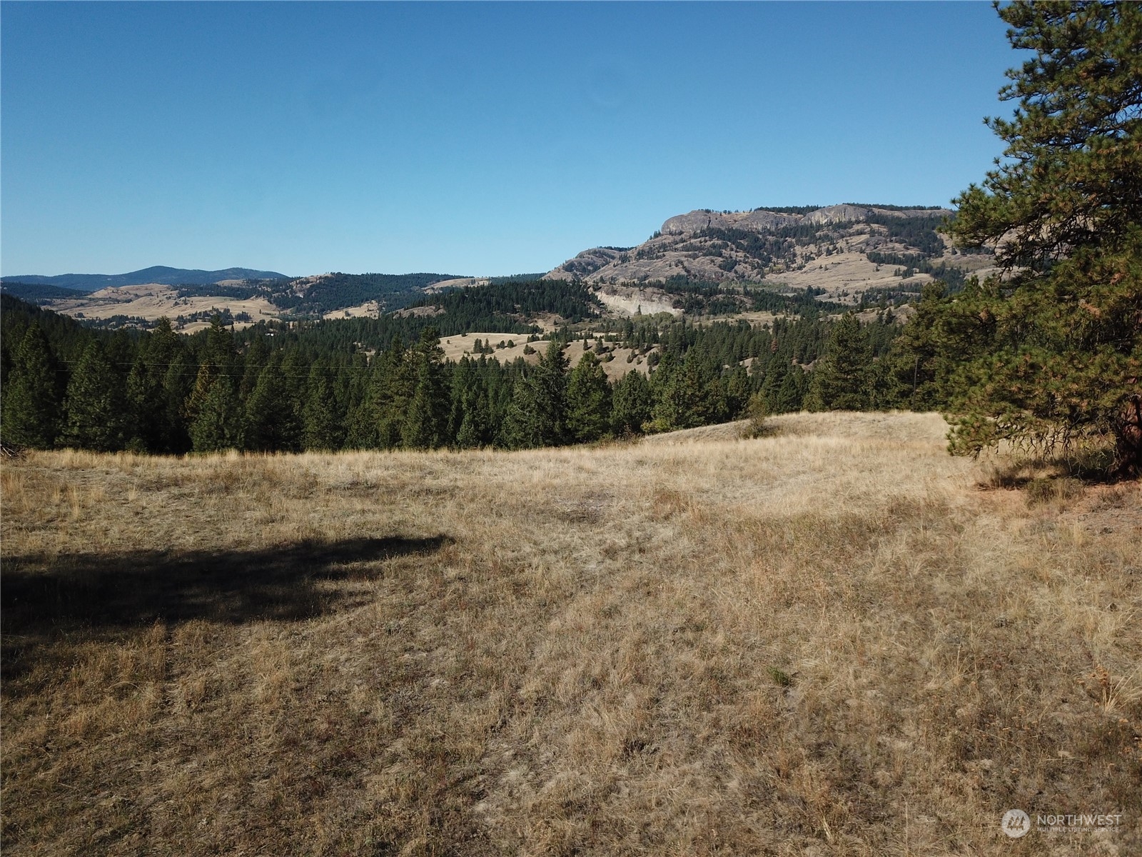 68 Jostin Lane Property Photo 3