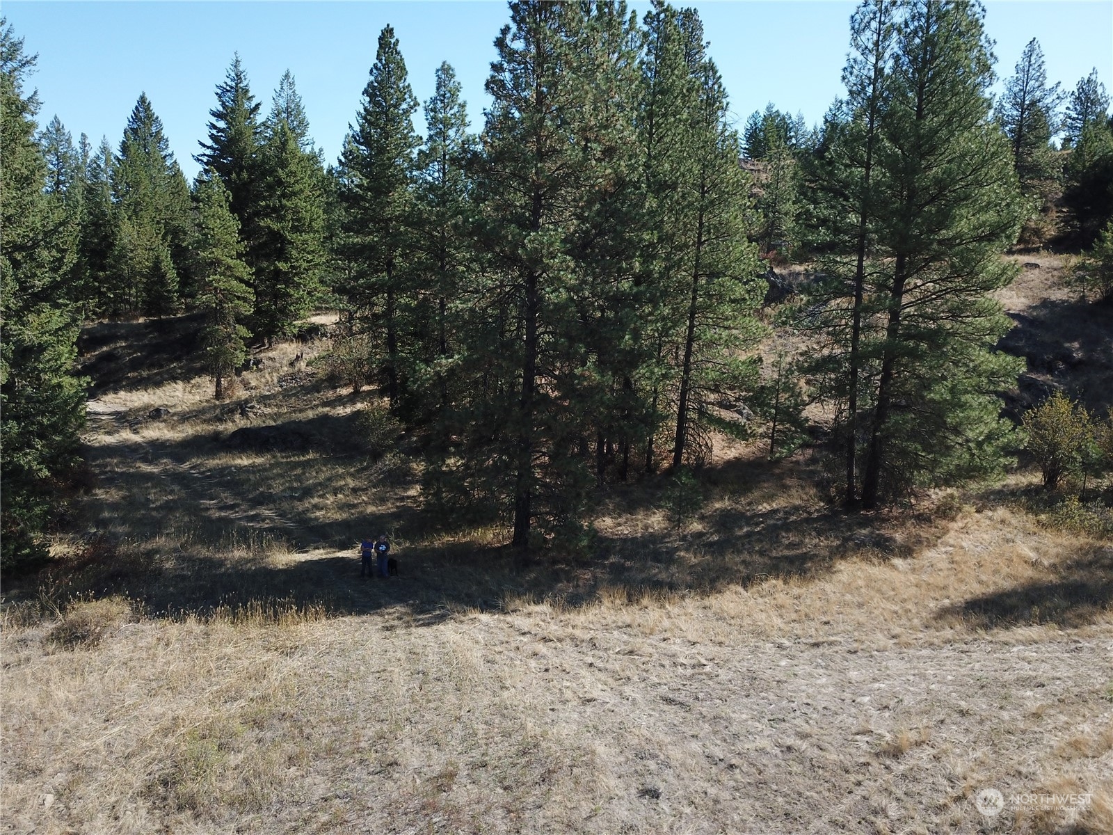 68 Jostin Lane Property Photo 10
