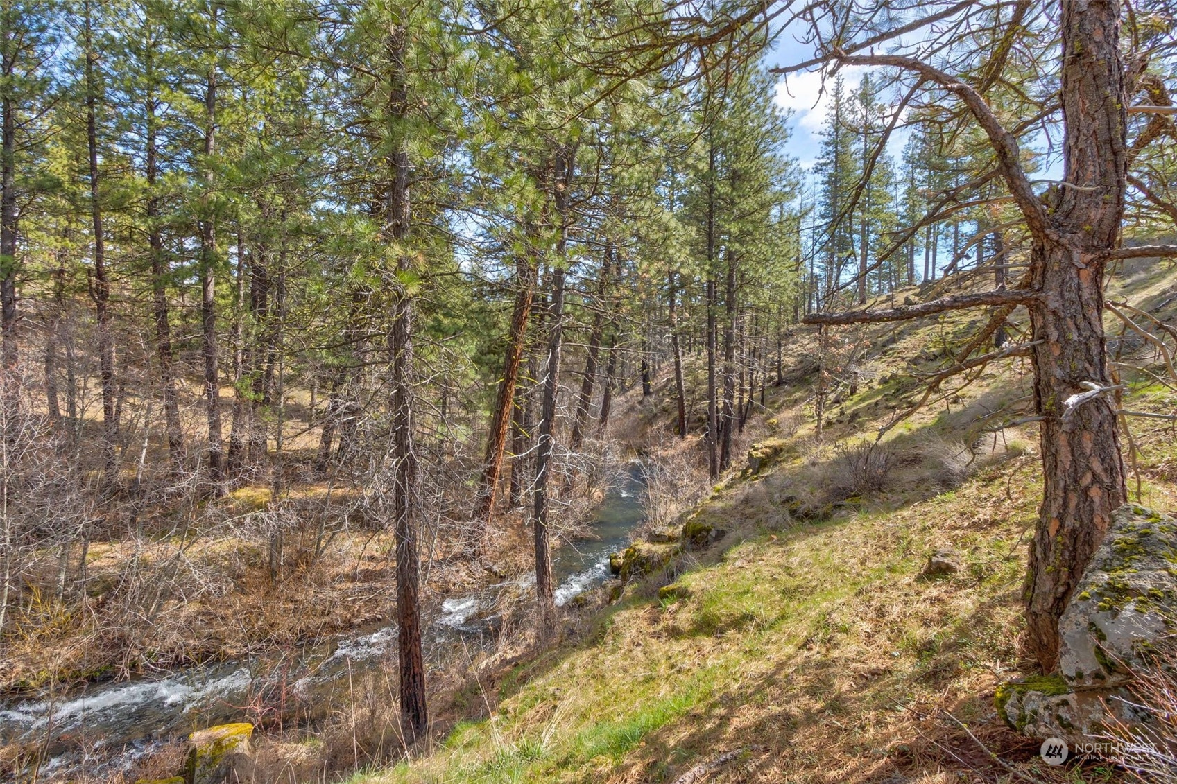 0 Box Canyon Road Property Photo