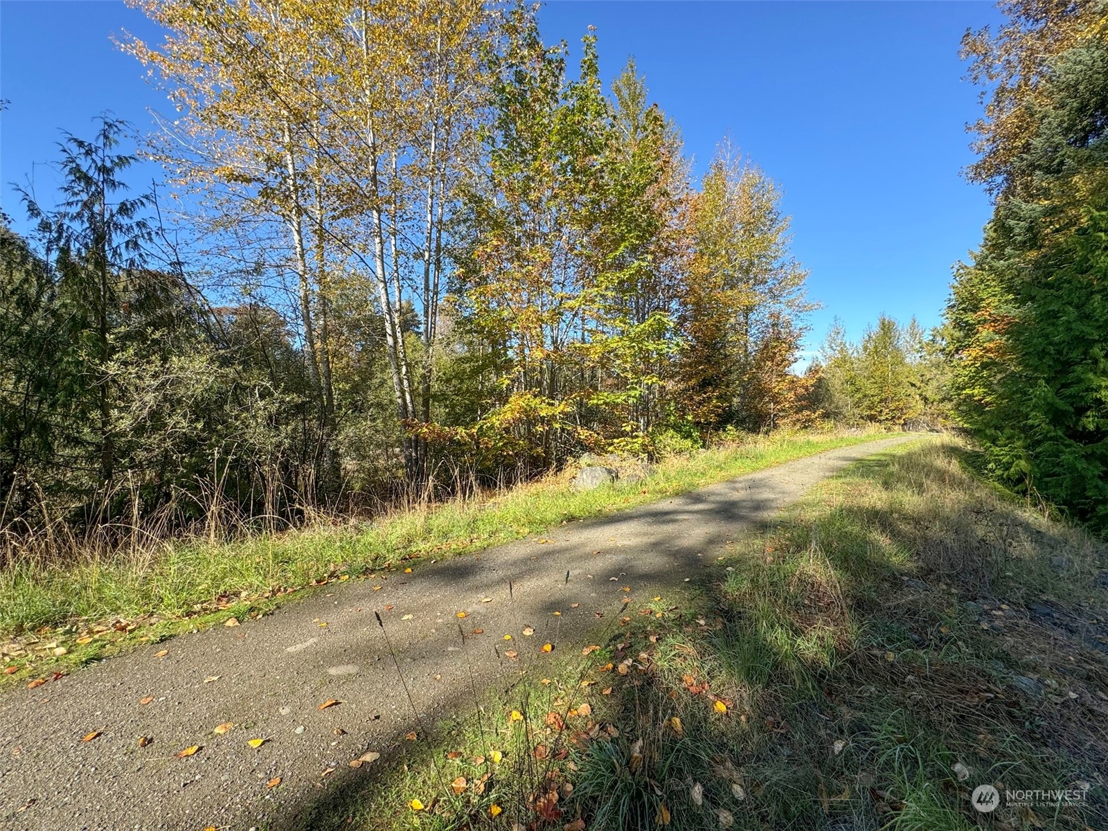 344 Dungeness Meadows Property Photo 29