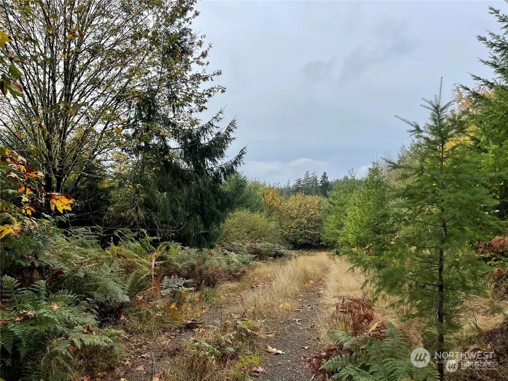 30 Acres Glenwood Road Property Photo 1