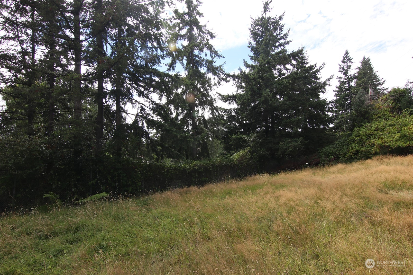 708 Kirkview Place Property Photo 10