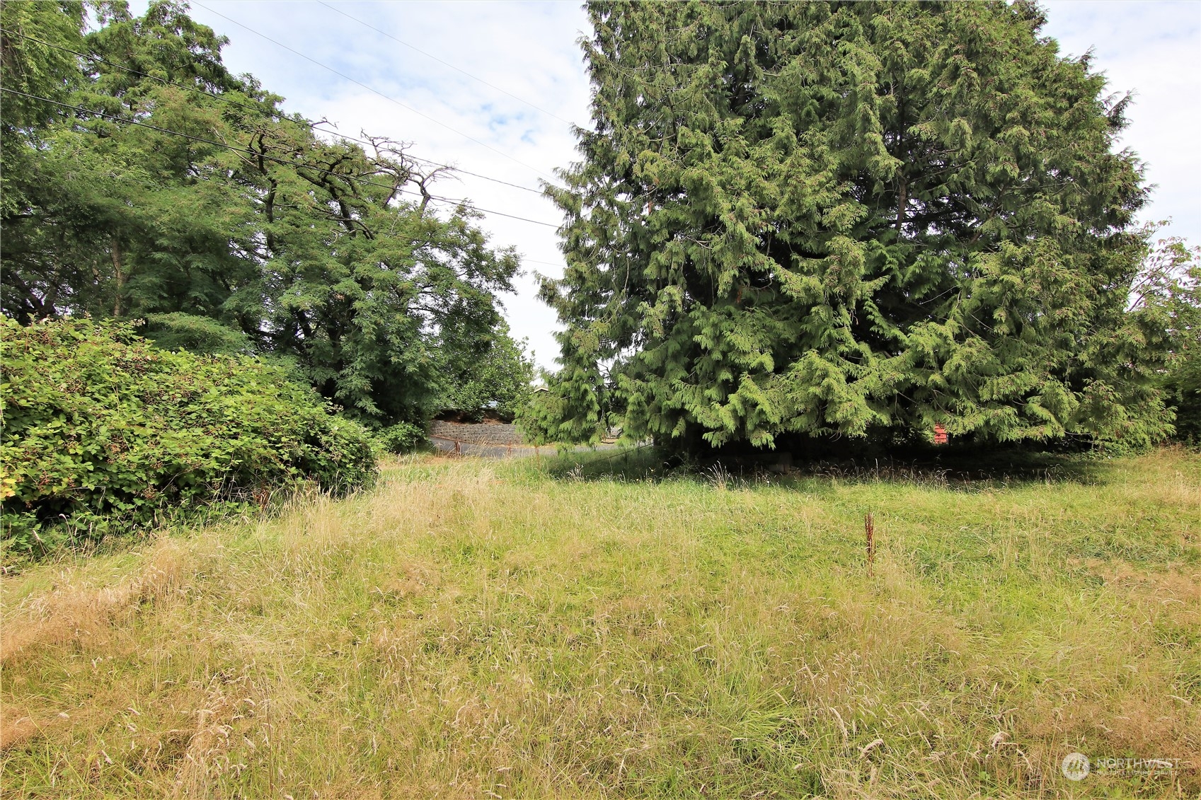 708 Kirkview Place Property Photo 12