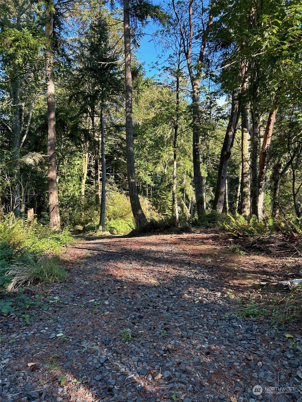 22978 Seatter Road Property Photo 2