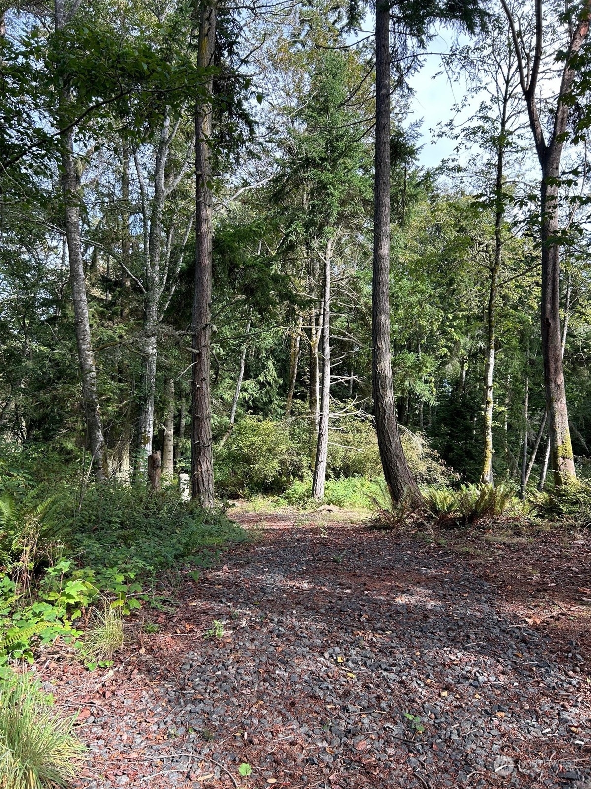 22978 Seatter Road Property Photo 5