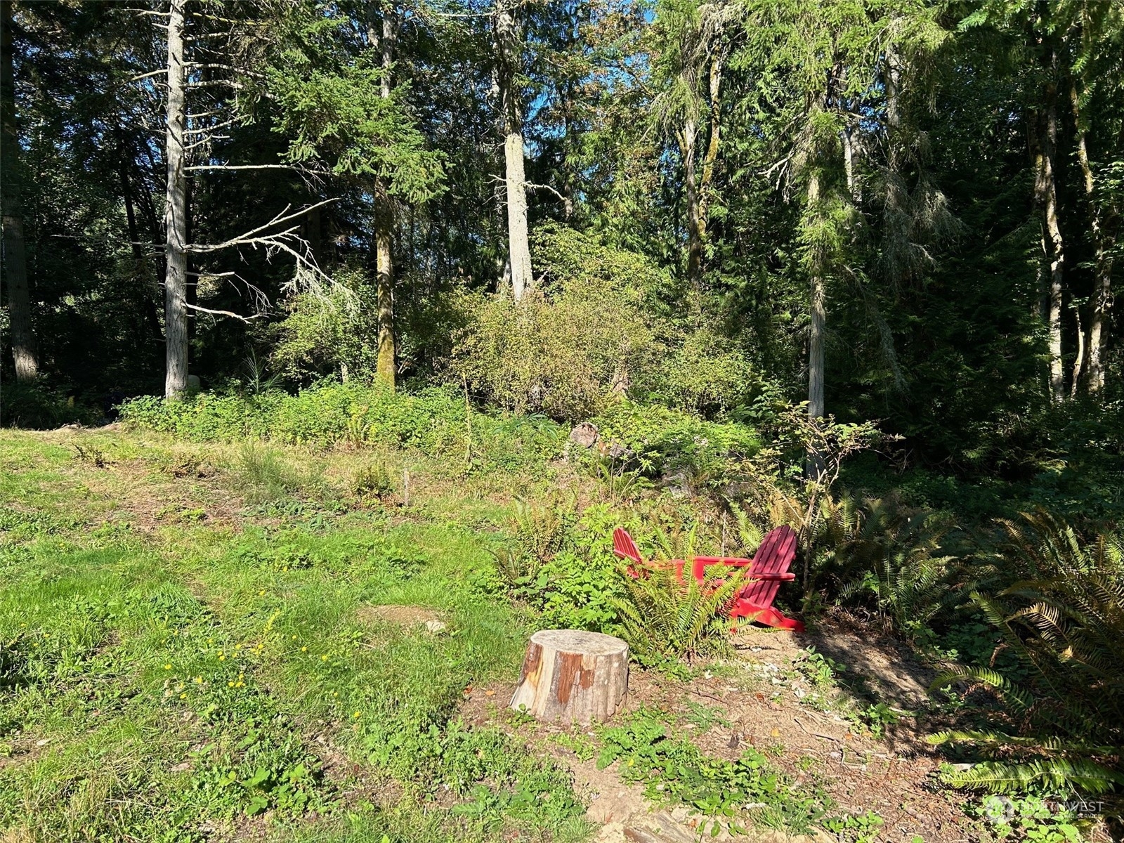 22978 Seatter Road Property Photo 6