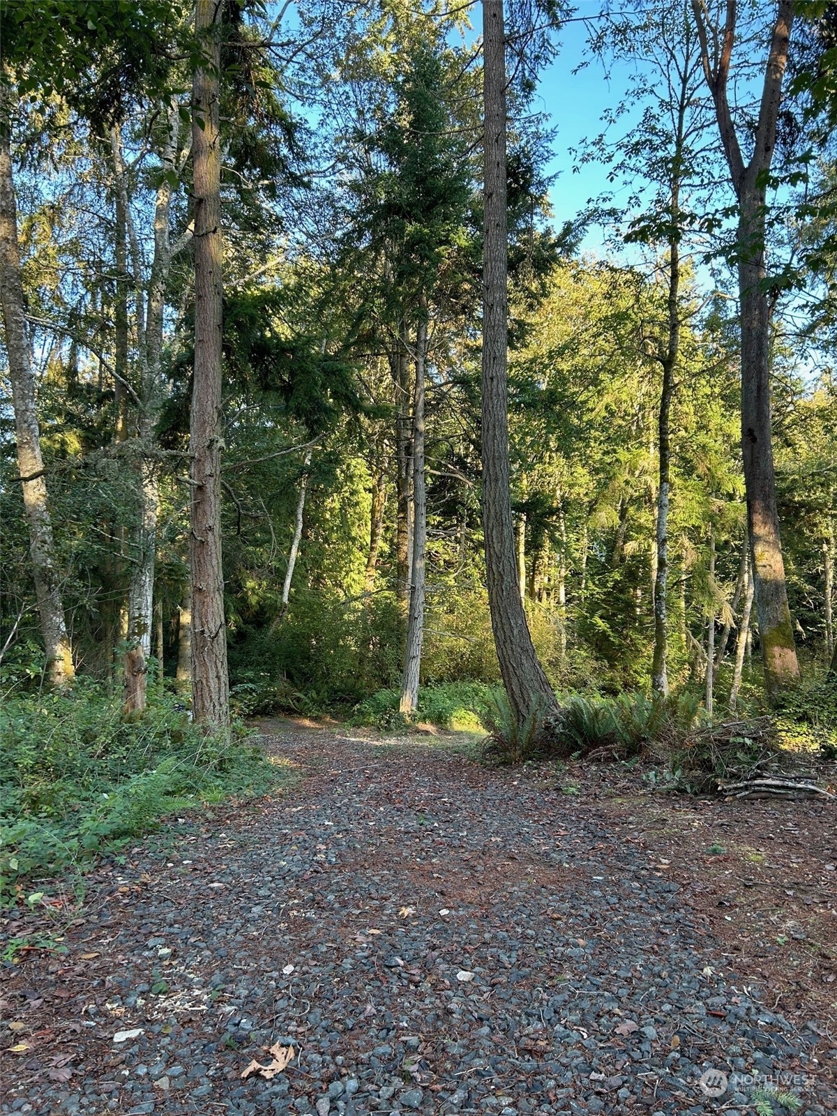 22978 Seatter Road Property Photo 8
