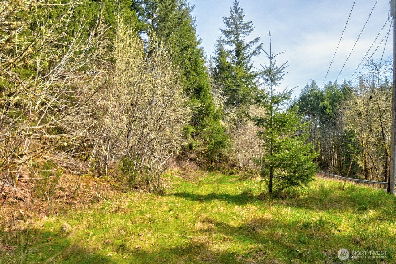 0 Lincoln Creek Road Property Photo 1
