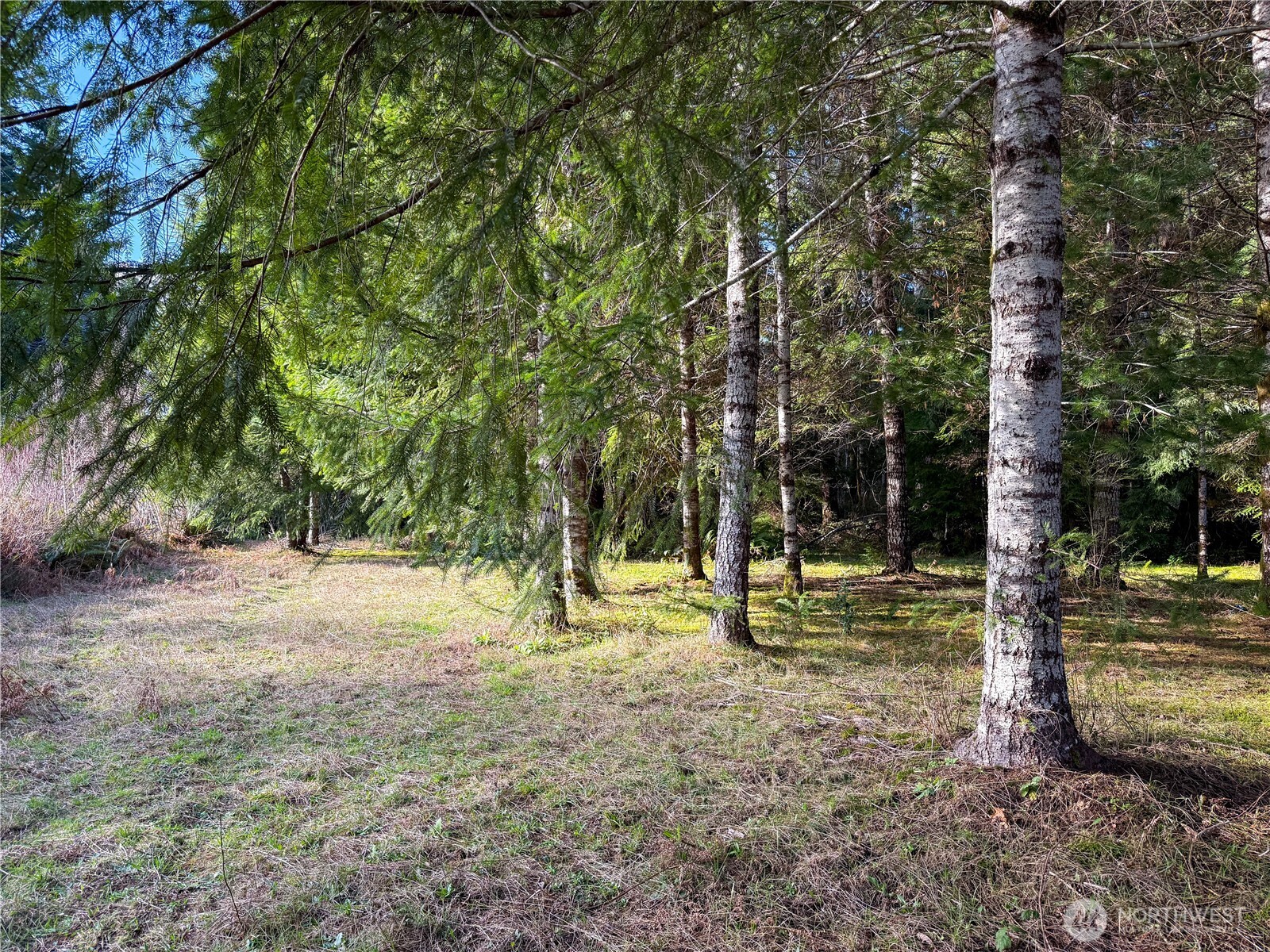 3190 E Hoquiam Road Property Photo 8