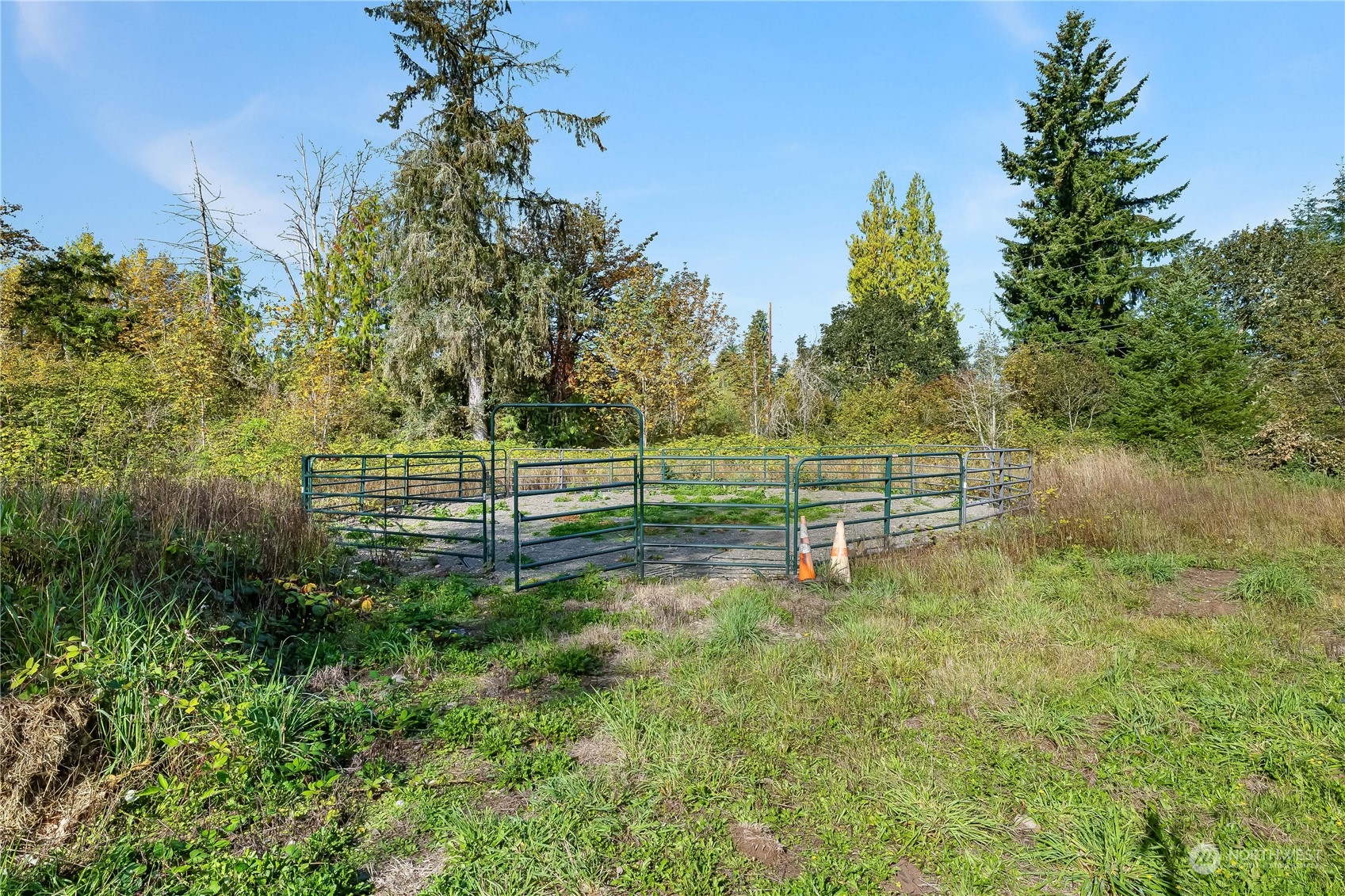 64 Preston Road Property Photo 3