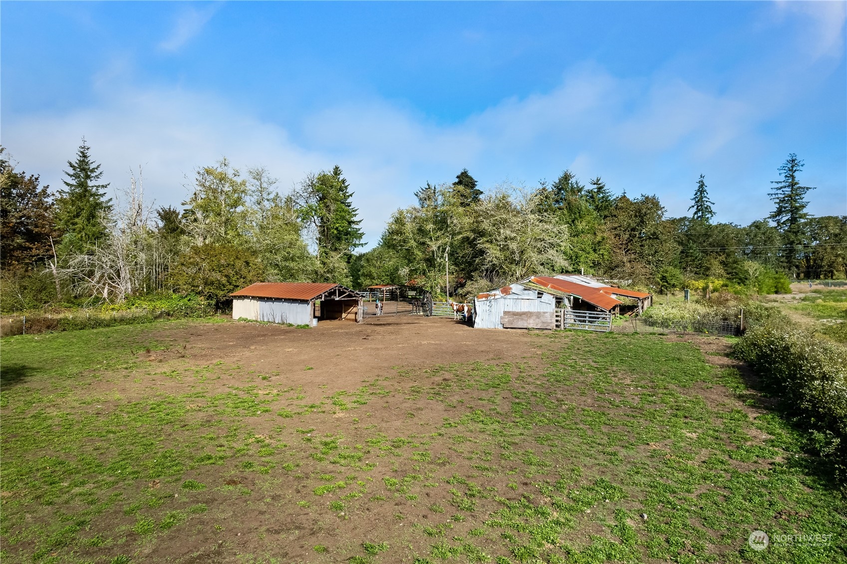 64 Preston Road Property Photo 29