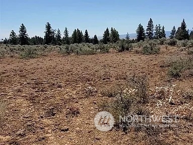 208 Falcon Ridge Property Photo 1