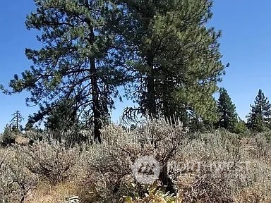 208 Falcon Ridge Property Photo 2