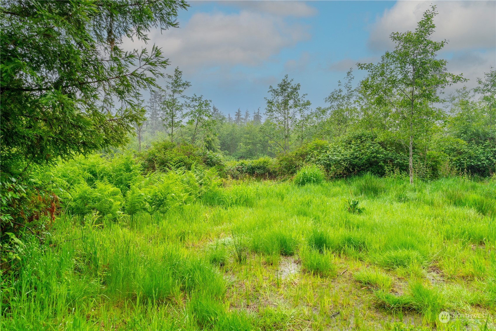 28754 State Route 525 Property Photo 6