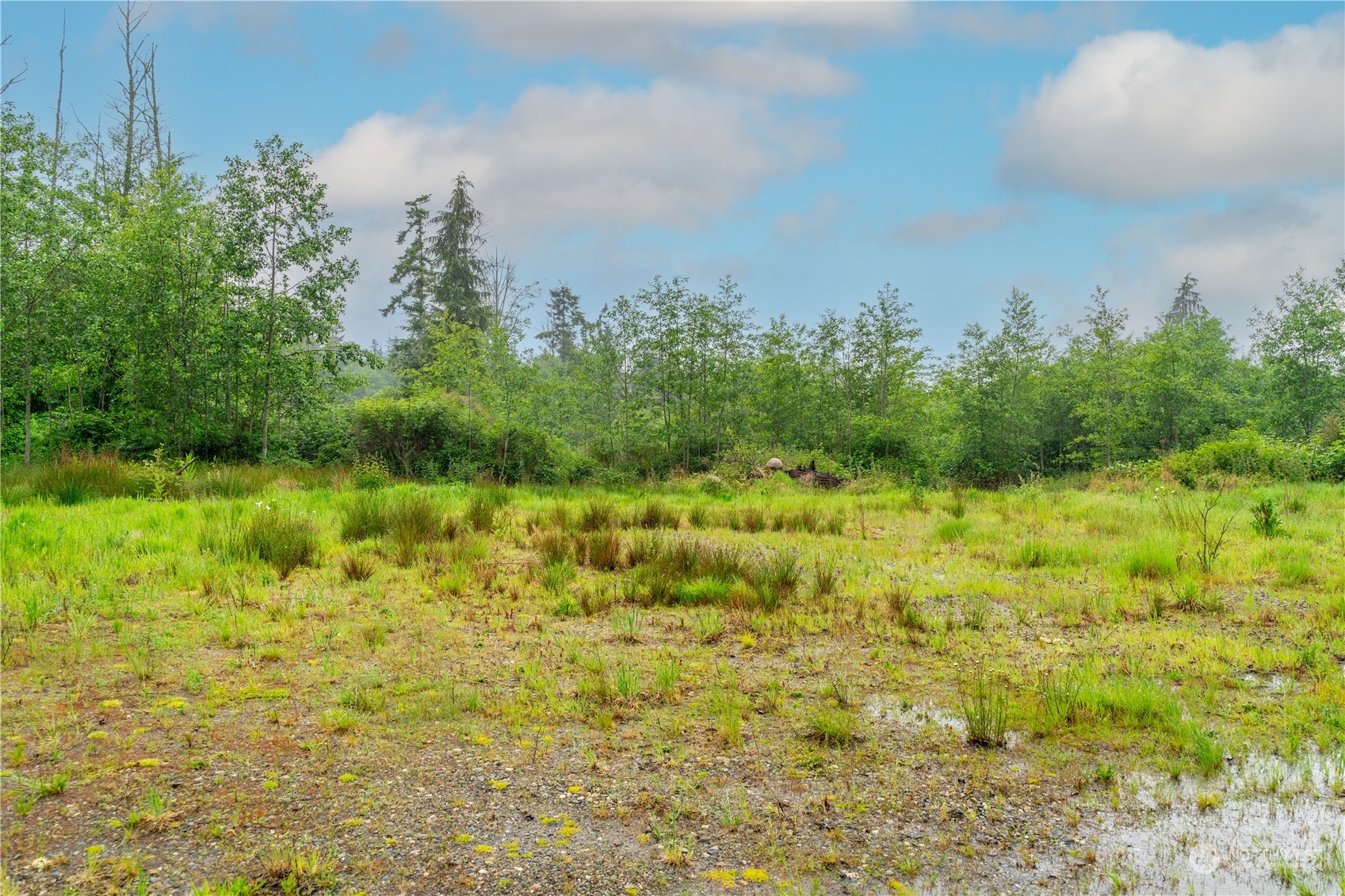 28754 State Route 525 Property Photo 7