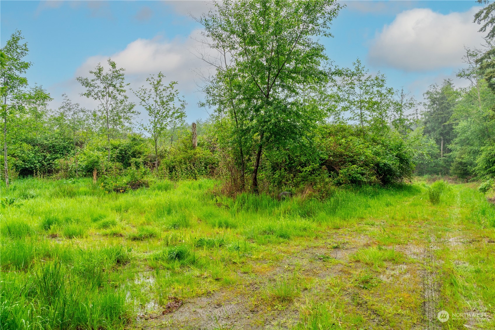 28754 State Route 525 Property Photo 8