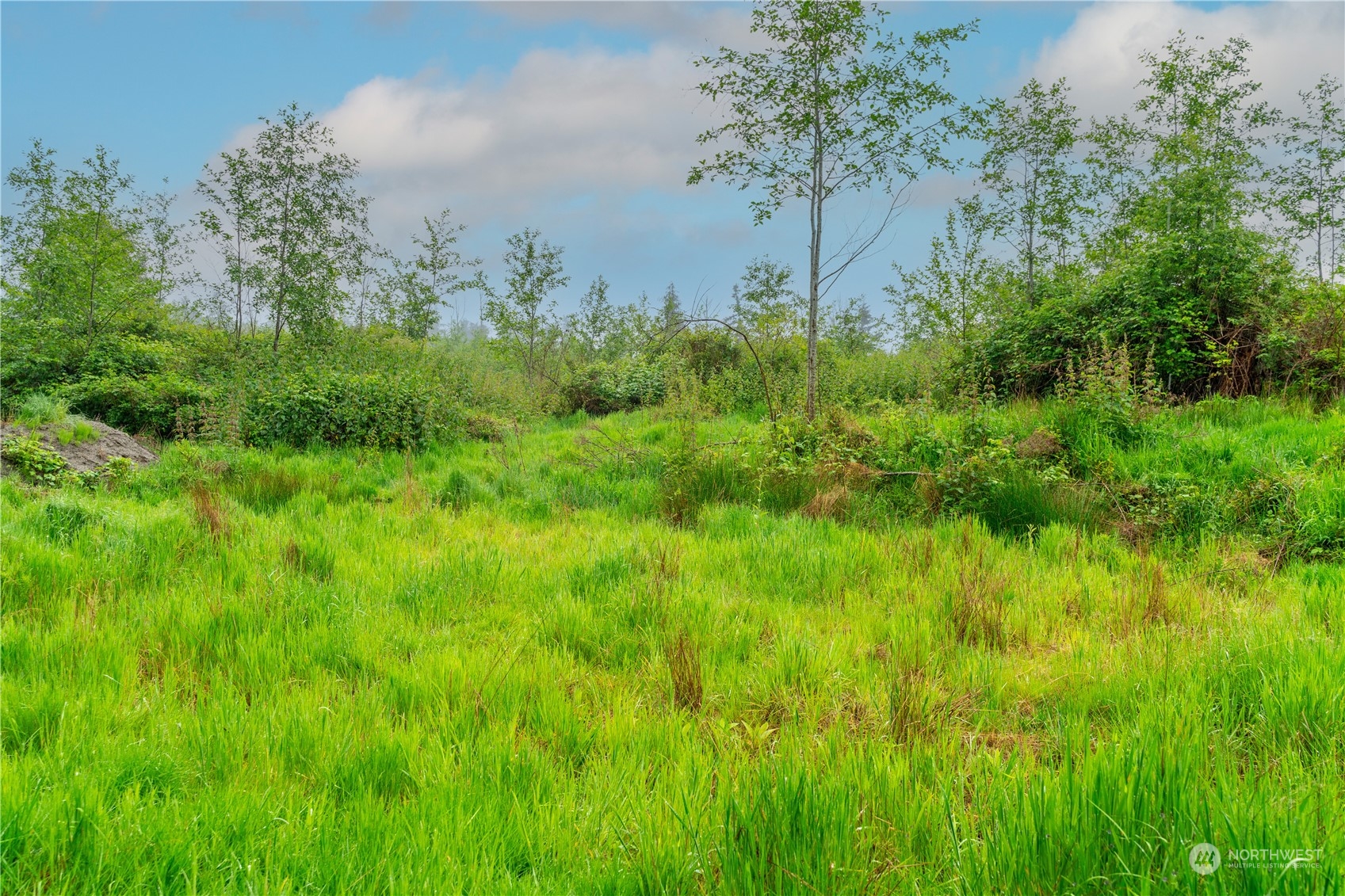 28754 State Route 525 Property Photo 10