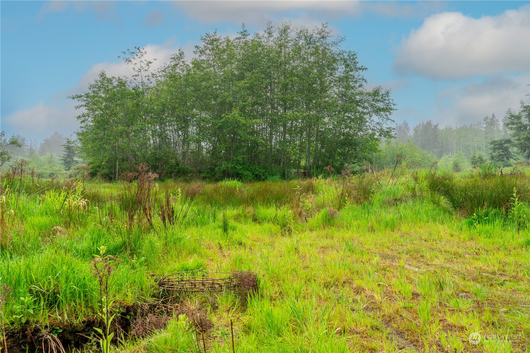 28754 State Route 525 Property Photo 11